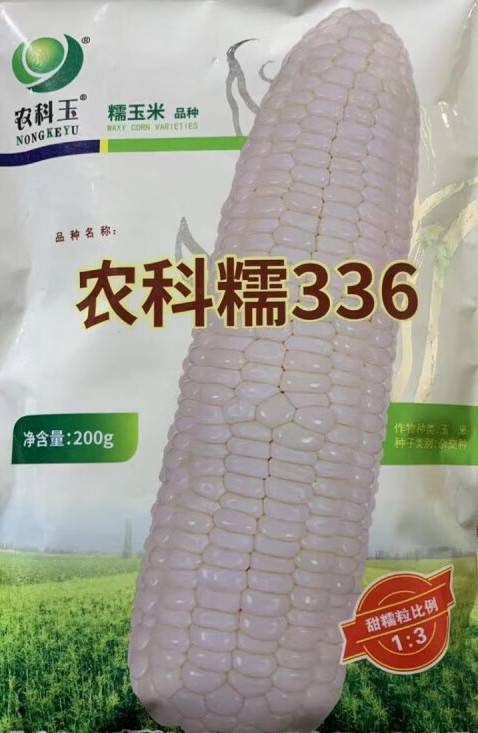 农科糯336