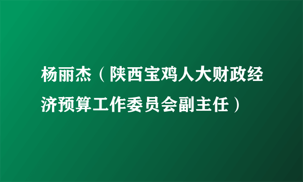 杨丽杰（陕西宝鸡人大财政经济预算工作委员会副主任）