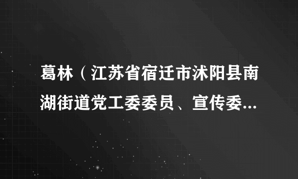 葛林（江苏省宿迁市沭阳县南湖街道党工委委员、宣传委员、统战委员）