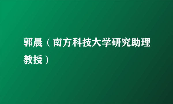 郭晨（南方科技大学研究助理教授）