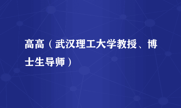 高高（武汉理工大学教授、博士生导师）