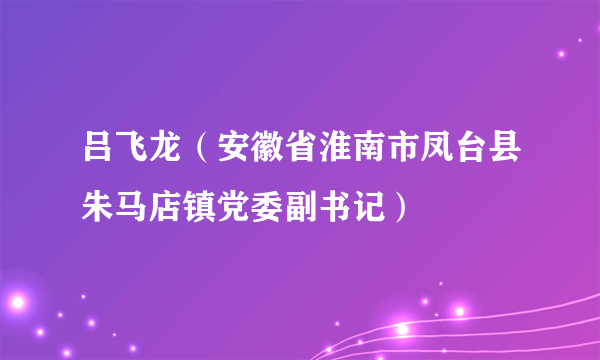 吕飞龙（安徽省淮南市凤台县朱马店镇党委副书记）