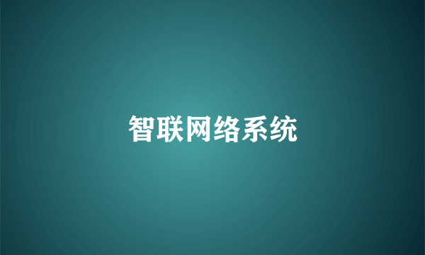 智联网络系统