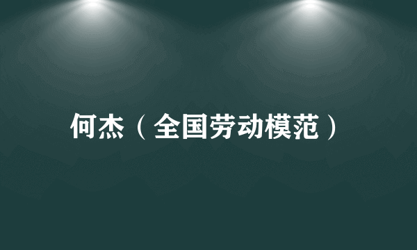 何杰（全国劳动模范）