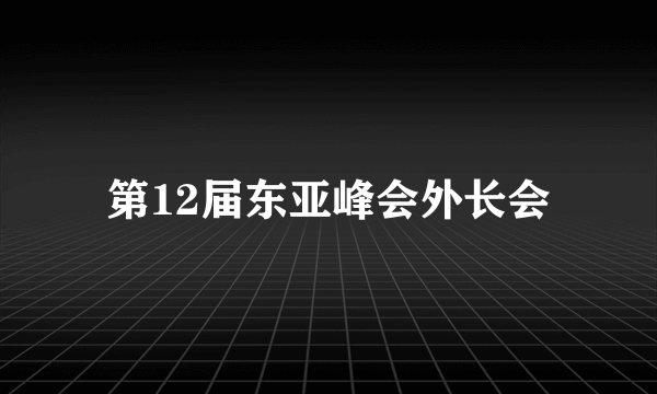 第12届东亚峰会外长会