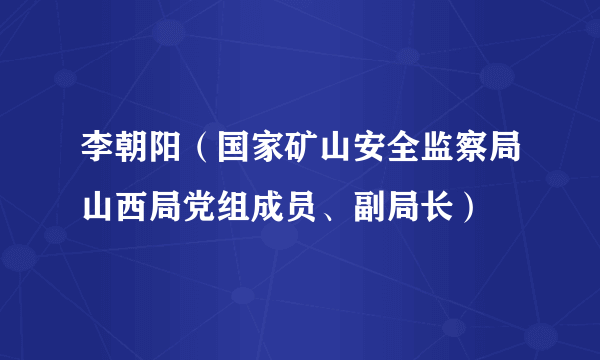 李朝阳（国家矿山安全监察局山西局党组成员、副局长）