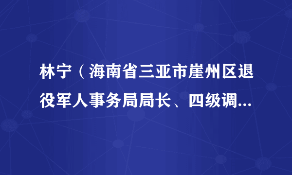 林宁（海南省三亚市崖州区退役军人事务局局长、四级调研员、区拥军优属拥政爱民工作领导小组办公室主任）