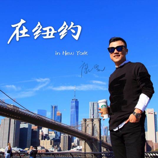 在纽约（康康演唱的歌曲）