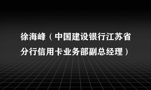 徐海峰（中国建设银行江苏省分行信用卡业务部副总经理）