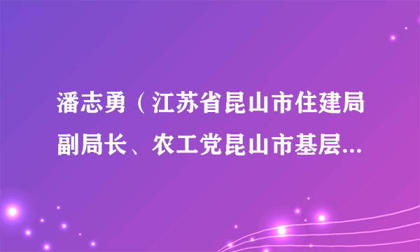 潘志勇（江苏省昆山市住建局副局长、农工党昆山市基层委主委）