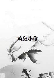 疯狂小偷