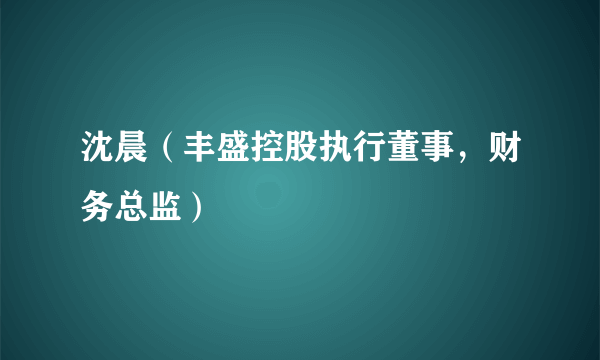沈晨（丰盛控股执行董事，财务总监）