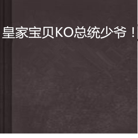 皇家宝贝KO总统少爷！