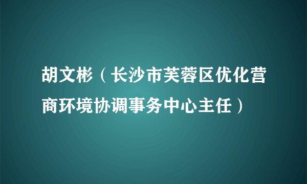 胡文彬（长沙市芙蓉区优化营商环境协调事务中心主任）