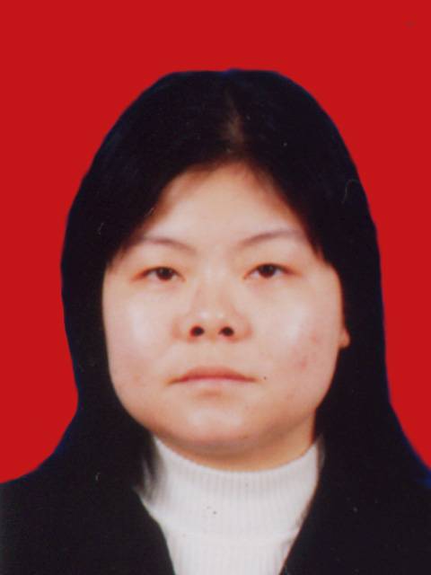 李晓华（华南理工大学电力学院教授）