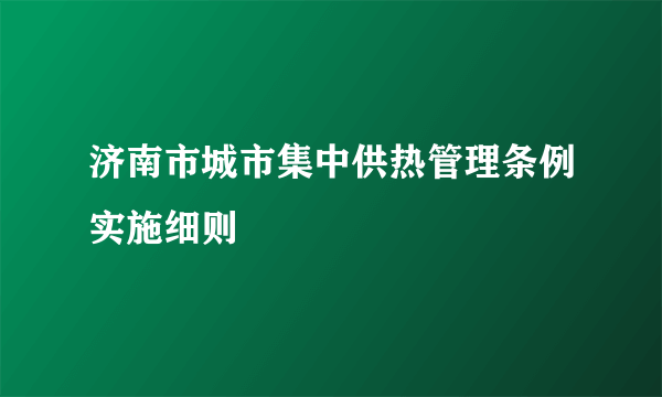 济南市城市集中供热管理条例实施细则
