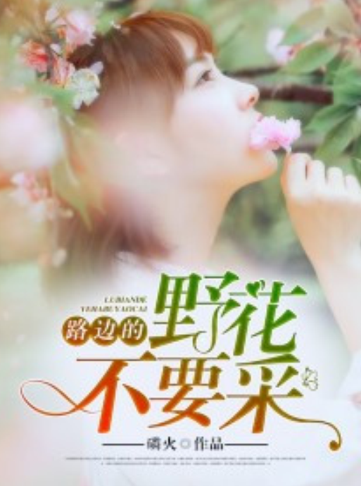 路边的野花不要采（暗夜文学网小说）