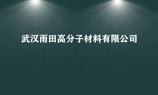 武汉雨田高分子材料有限公司
