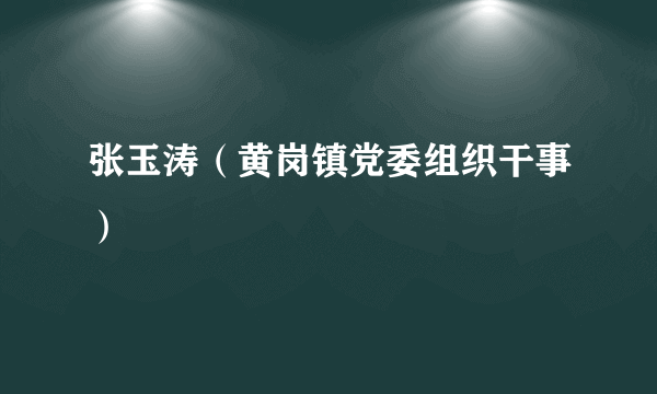 张玉涛（黄岗镇党委组织干事）