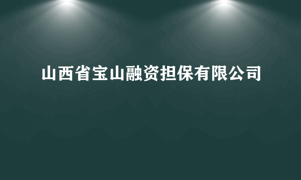 山西省宝山融资担保有限公司