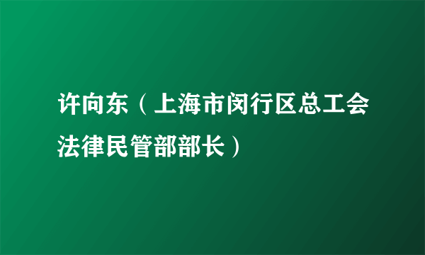 许向东（上海市闵行区总工会法律民管部部长）