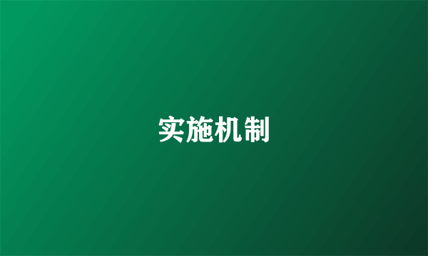 实施机制
