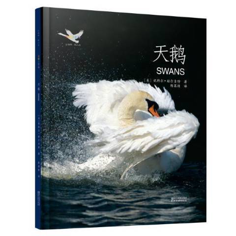 天鹅（2018年浙江文艺出版社出版的图书）