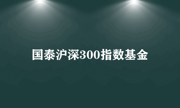 国泰沪深300指数基金