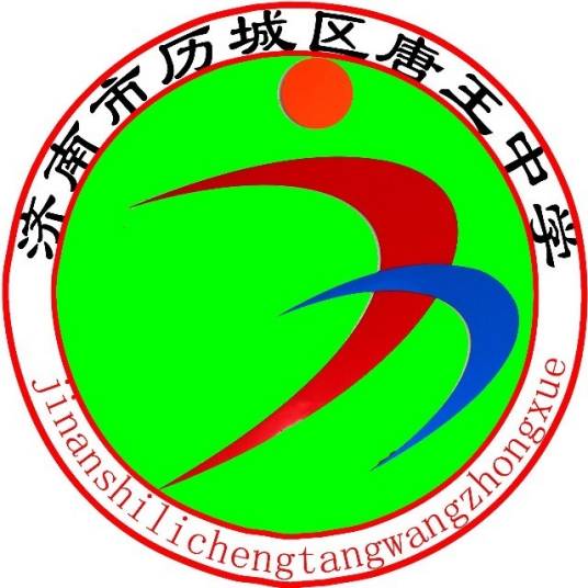 济南市历城区唐王中学