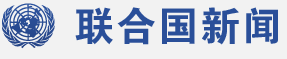 联合国新闻部
