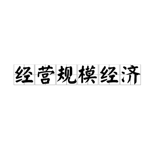 经营规模经济