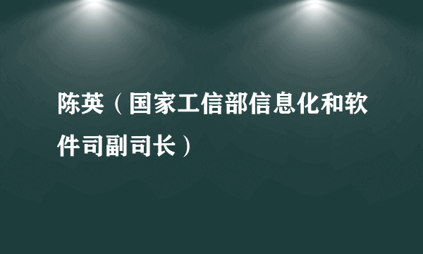 陈英（国家工信部信息化和软件司副司长）