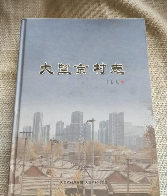 大望京村志