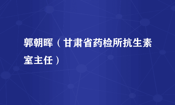 郭朝晖（甘肃省药检所抗生素室主任）
