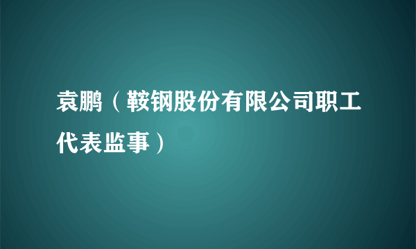 袁鹏（鞍钢股份有限公司职工代表监事）
