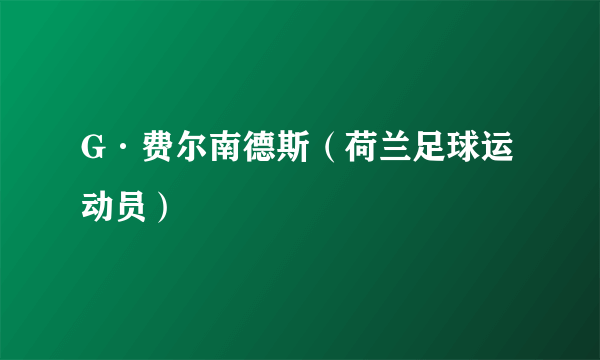 G·费尔南德斯（荷兰足球运动员）