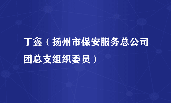 丁鑫（扬州市保安服务总公司团总支组织委员）
