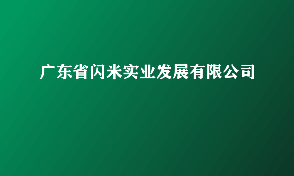 广东省闪米实业发展有限公司