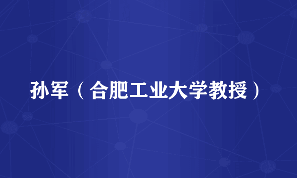 孙军（合肥工业大学教授）