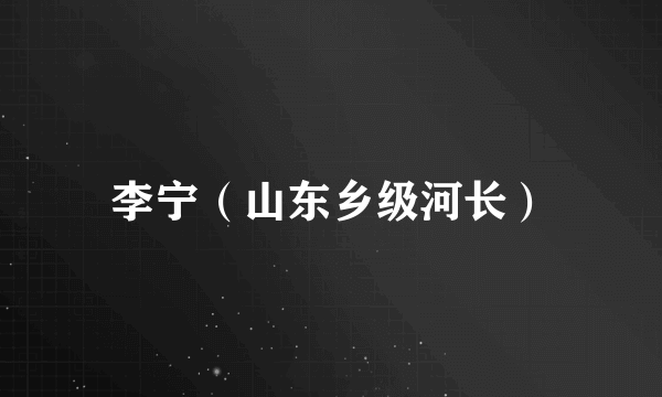 李宁（山东乡级河长）