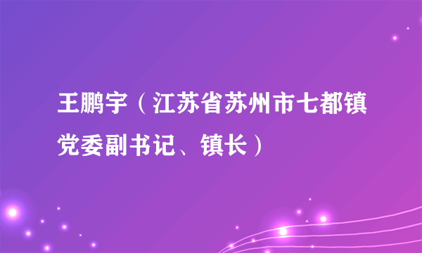 王鹏宇（江苏省苏州市七都镇党委副书记、镇长）
