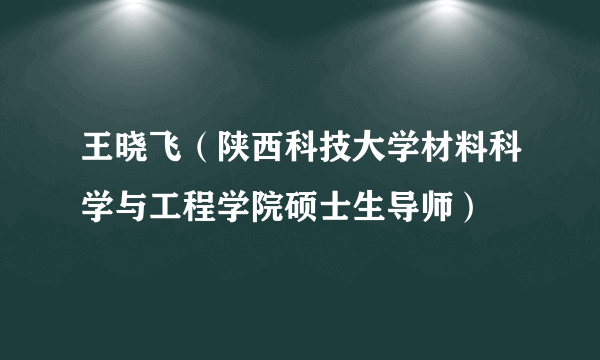 王晓飞（陕西科技大学材料科学与工程学院硕士生导师）