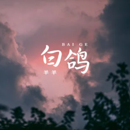 白鸽（2023年羊羊演唱的歌曲）