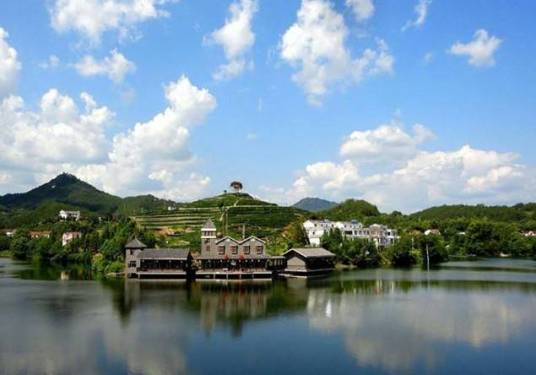 乌云山茶叶公园