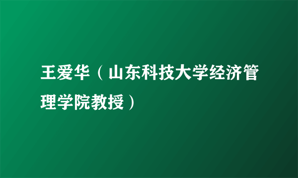 王爱华（山东科技大学经济管理学院教授）