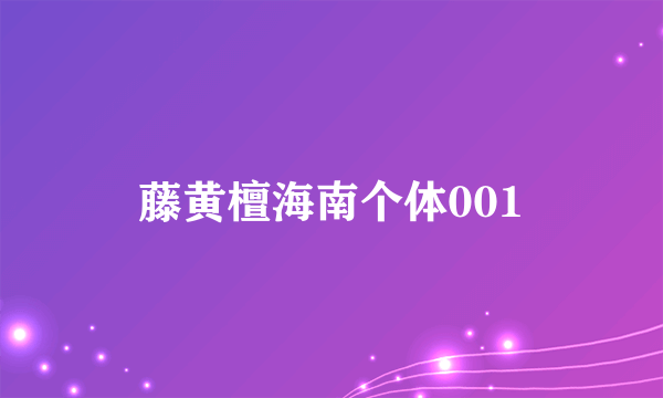 藤黄檀海南个体001