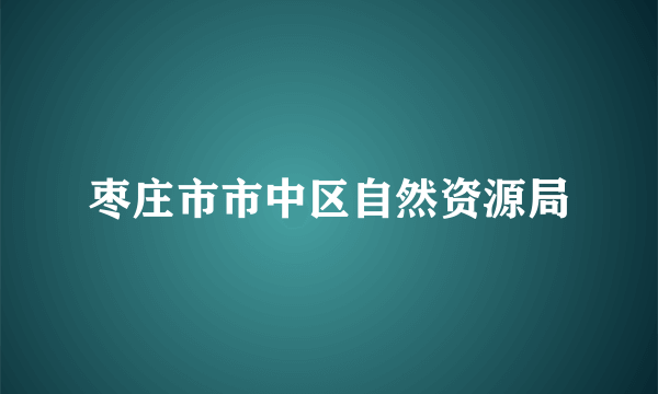 枣庄市市中区自然资源局