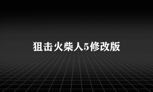 狙击火柴人5修改版