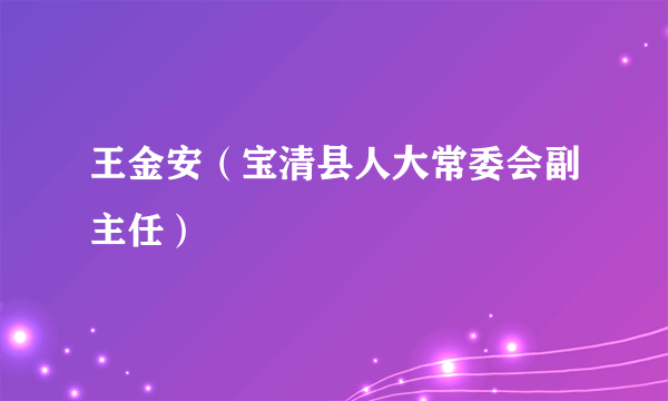 王金安（宝清县人大常委会副主任）