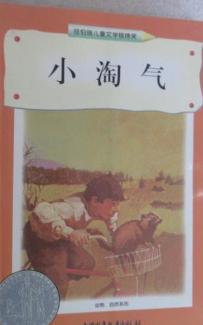 小淘气（1998年中国少年儿童出版社出版的图书）